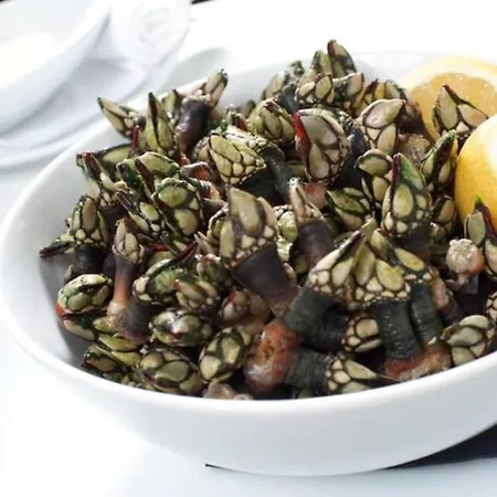 Casa Menezes Apartamento