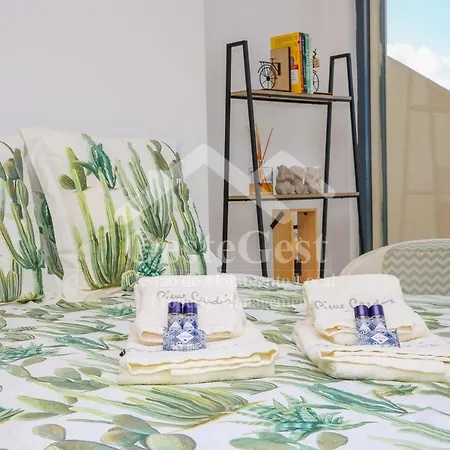 Apartamento Casa Menezes