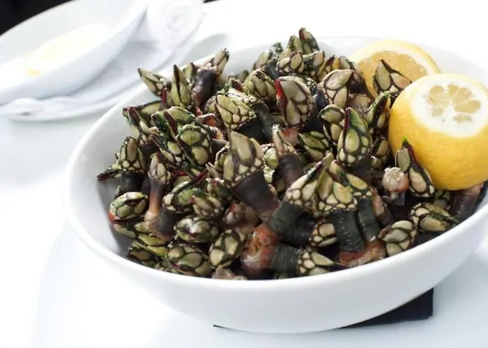 Casa Menezes Appartement