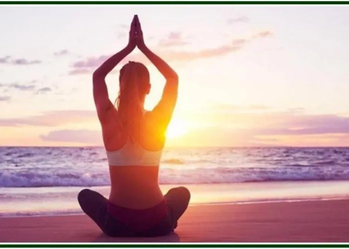 Casa Menezes Appartement